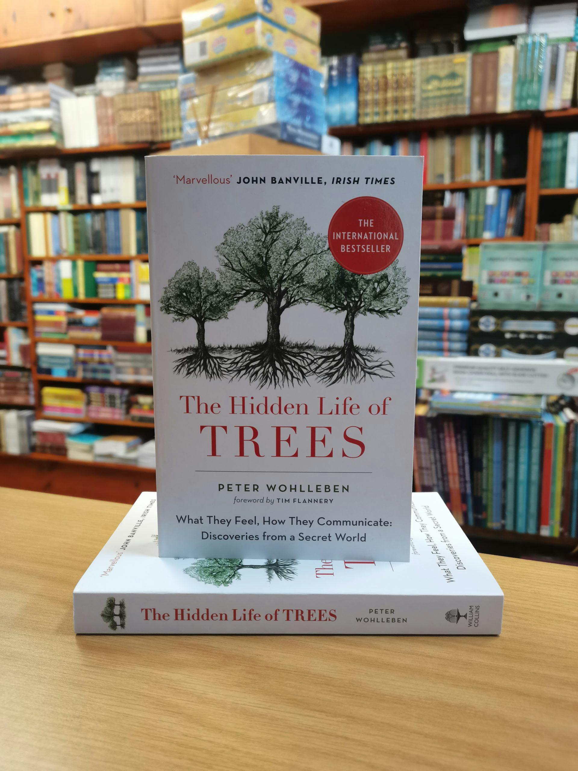 Featured image of The Hidden Life Of Trees
